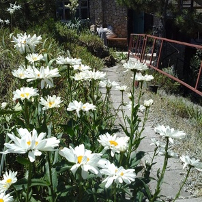 Агротуризм