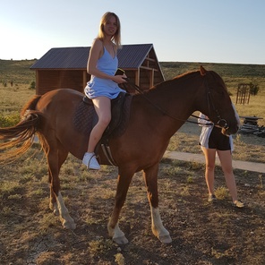 Верховая езда