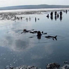 Глинолечение