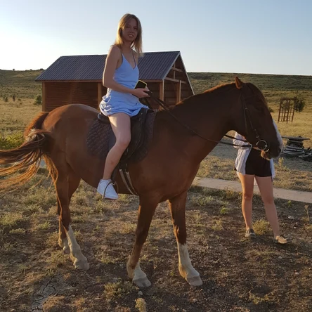 Верховая езда