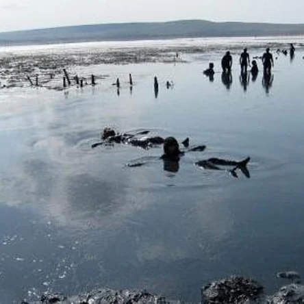 Глинолечение