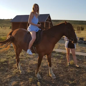 Верховая езда