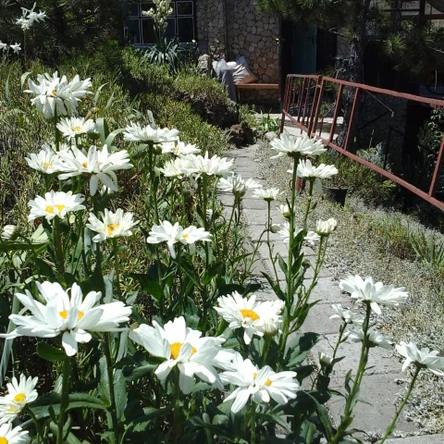 Агротуризм