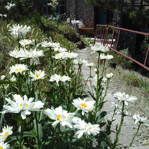 Агротуризм