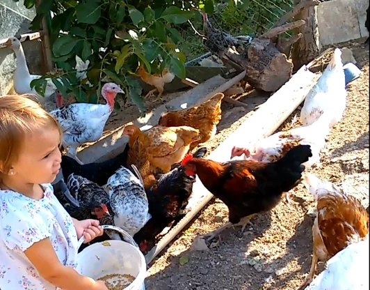 Агротуризм